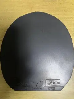 Item thumbnail for item 280a1104-7799-4f10-859e-a0bbc3fe710f