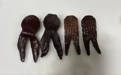 Item thumbnail for item c6e98f3c-d545-4cd9-aaae-c4a1ac6f9b9b