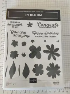 maccha様 リクエスト 2点 まとめ商品