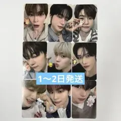 ZERONI POPUP 5000ウォン トレカ コンプ