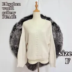 イーハイフンワールドギャラリーピース　リブニットVネックセーター（F）淡色系