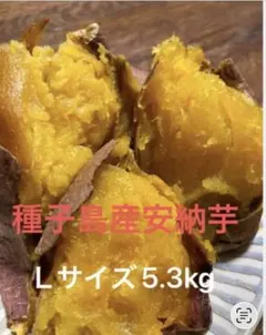 種子島産安納芋紅Lサイズ5.3kg