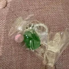 めじるしアクセサリー モリゾー