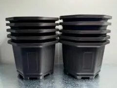 新品　台湾八角鉢　5寸3寸　各10個ずつ　Agave鉢 2025年最新】台湾鉢 5寸の人気アイテム - メルカリ