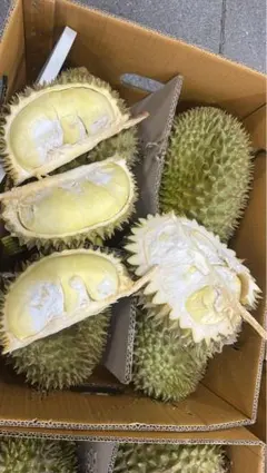 大人気】ベトナム産ドリアン 3〜4個入り 箱込み約10kg 佐川急便発送