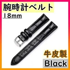 Item thumbnail for item 00933d61-b854-47a9-8f9a-f696621b4d2d