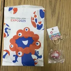 シナモロール　ミャクミャク　立体マスコットクリアキーホルダー