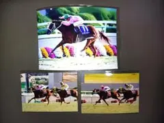 競馬 レース写真セット