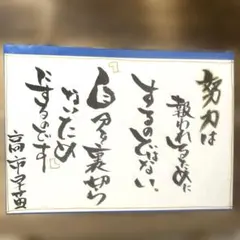 Item thumbnail for item cd07d19a-7448-4167-94c8-0b8def7bf14c