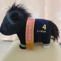 第66回オークス 勝馬投票券 シーザリオ 2005年 - メルカリ