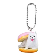 いぬぱん リターンズ2 サモエド