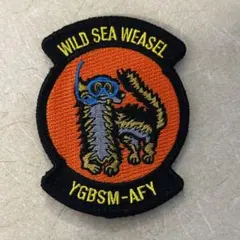 新品未使用】米空軍 三沢基地 WILD WEASEL YGBSM パッチ - メルカリ