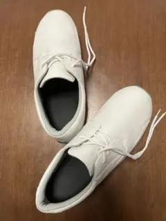 Item thumbnail for item e6cc163c-3c00-4529-9722-89481458fb04