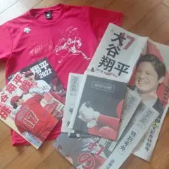 大谷翔平選手　グッズ　まとめ売り　奥州プライドMサイズのサムネイル