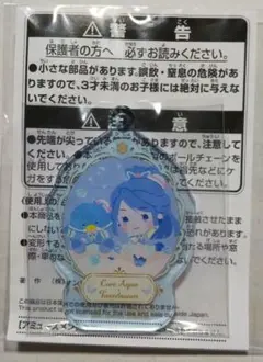 Yes！プリキュア5GoGo！サンリオキャラクターズ アクリル キーホルダー