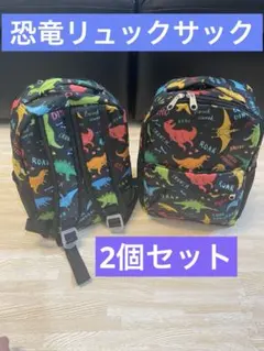 リュックサック 恐竜 １個