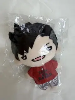 ハイキュー!! 黒尾鉄朗 にとたん ぬいぐるみ