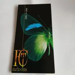 FANATIC CRISIS 月の花 8cmシングル