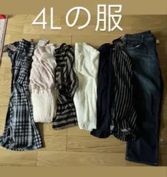大きいサイズ 4Lの服　まとめ売り