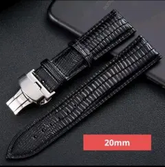 Item thumbnail for item b58d098b-d651-4b1c-9a7c-be0157866c68