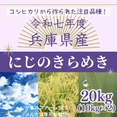 にじのきらめき種籾8kg 消毒済み - メルカリ