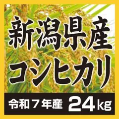メルカリ市限定！栃木のお米・コシヒカリ♡白米25 - メルカリ