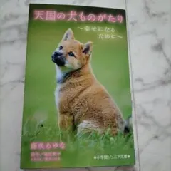 Item thumbnail for item 82055d8e-67b5-4f3e-a8b4-7bfcfcb3bc36