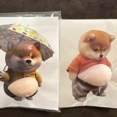 柴犬 おなかステッカー 2枚セット