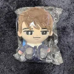 Snow Manすのチル ぶら下がらないシリーズ BIGぬいぐるみ　渡辺翔太