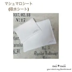 Item thumbnail for item dda89e57-359d-4da5-822f-da6ffcada64b