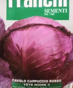 もち子様 リクエスト 2点 まとめ商品