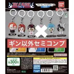 BLEACH めじるしアクセサリー2～破面篇～　セミコンプ