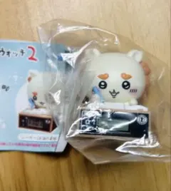 シーサー　いっしょにがんばろ！ダンボールウォッチ2