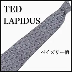 TED LAPIDUS ネクタイ　ペイズリー柄 総柄 グレー系　フランス製