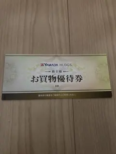 ヤマダ電機 株主優待券 3000円分