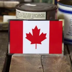 Item thumbnail for item f9ab41d4-29e7-4426-9c2a-b7d05ccb9bed