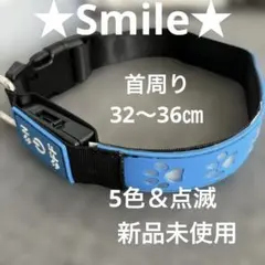 ★ 미사용 ★ LED ★ 애견용 애완동물목걸이 ★ 5색 ★ 플래싱 ★ 스카이블루 ★
