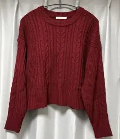 WEGO ケーブルニット ダークレッド ワイン