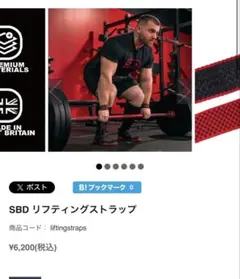 2026年最新】SBD Apparel Japan パワーグリップ・グローブの人気