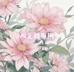 ぺぇ （おまとめ大歓迎♪）様 リクエスト 2点 まとめ商品