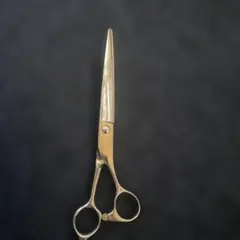 Item thumbnail for item 699d4b92-60bb-48cd-9d3f-80365c09f85e