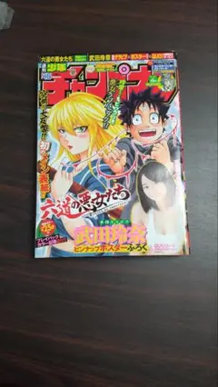 少年チャンピオン　表紙　武田玲奈
