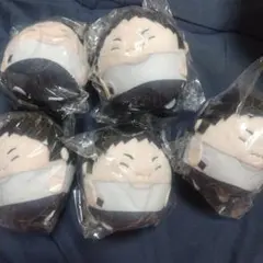 ハイキュー ふわコロりん ミニ 澤村大地