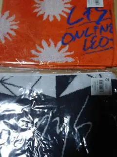 Item thumbnail for item ea940999-1f59-4683-9474-18249a5f9929