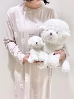 ビションフリーゼ ドレス ワンピース 新品未使用 ジェラートピケ