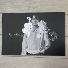 YESUNG Spring Falling 限定盤 新品未開封 YESUNG 2nd Mini Album SPRING FALLING 【限定盤】 | お姉ちゃん♪の