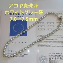 未使用に近い✨️アコヤ真珠 ホワイトグレーネックレス 7.0〜7.5mm
