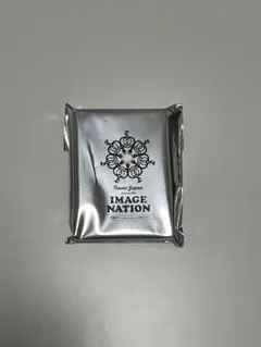 TravisJapan トラジャ IMAGE NATION トレーディングカード