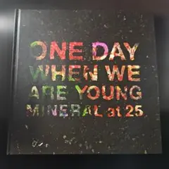 MINERAL One Day When We Are Young レコード