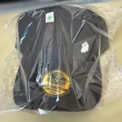 ぽこあポケモンキャップ